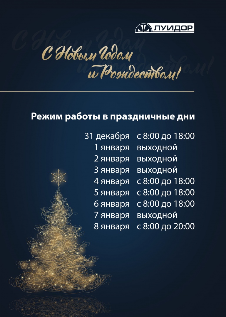 новогодний режимник Казань.jpg
